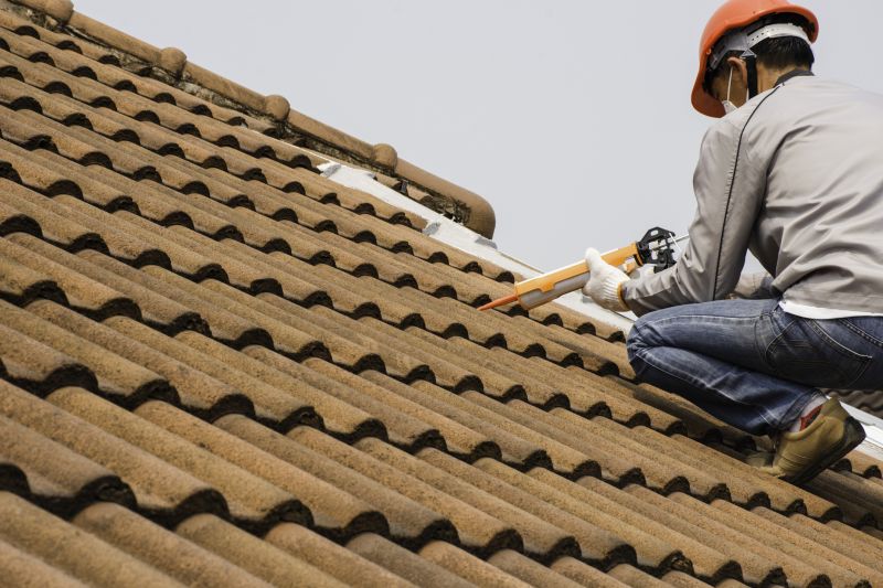 Professional Roofing Team